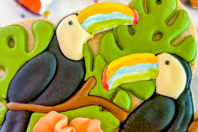 How to decorate a Toucan cookie?